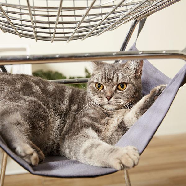 Pet Hammock Bed