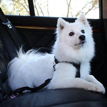 Pet Adjustable Safety Belt (6 Colors Available) - Next Deal Shop
 - 2