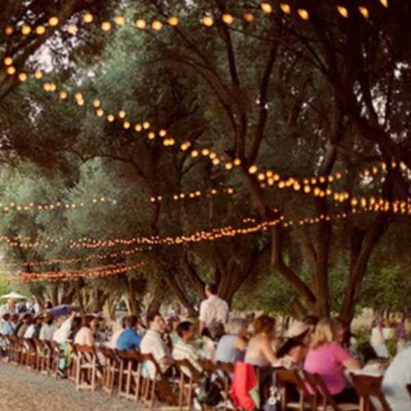 Solar-Powered Bubble Crystal Ball String Lights