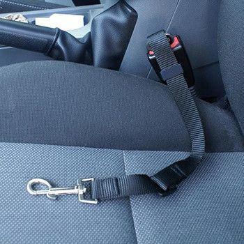 Pet Adjustable Safety Belt (6 Colors Available) - Next Deal Shop
 - 6