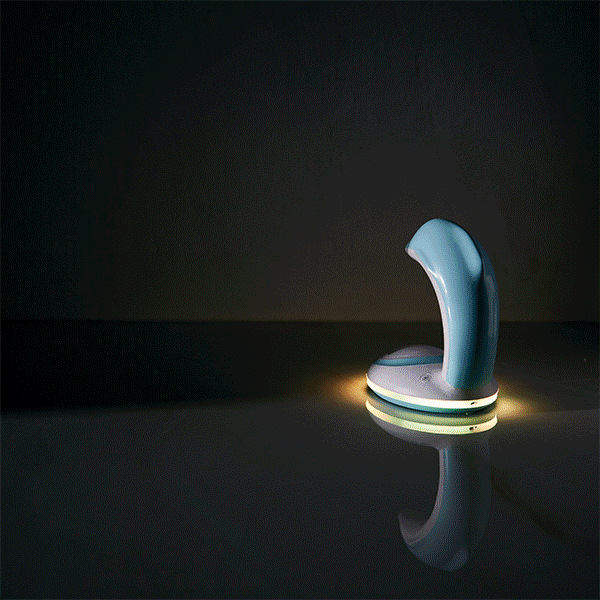 XMAS Dolphin Rainbow Night Light