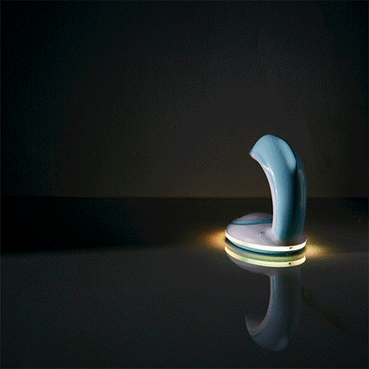 XMAS Dolphin Rainbow Night Light