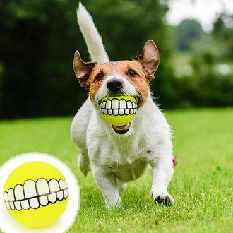 2 Pcs Funny Teeth Pet Toy Ball