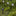 Solar-Powered Color Changing LED Dandelion 3 Piece Stake Set