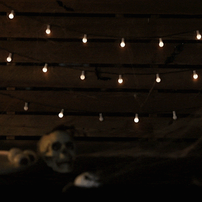 Solar-Powered Halloween LED Globe String Lights