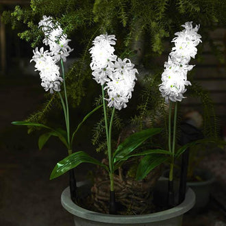 Solar-Powered LED Hyacinth 3 Piece Stake Set