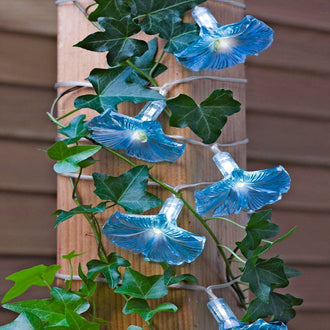 Solar-Powered Morning Glory Lights