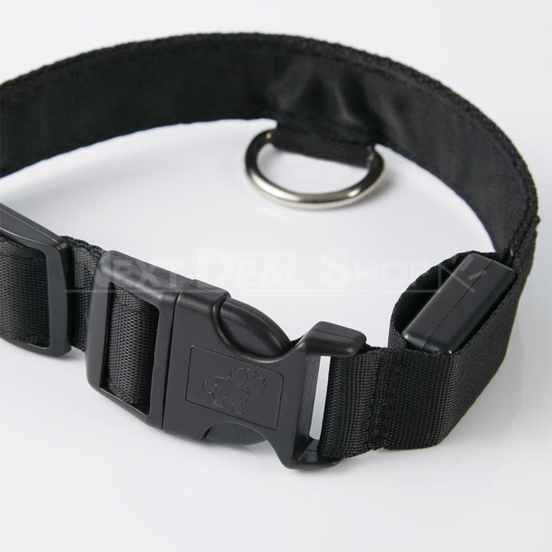 Solid Blue Nylon LED Pet Collar-Next Deal Shop-Next Deal Shop