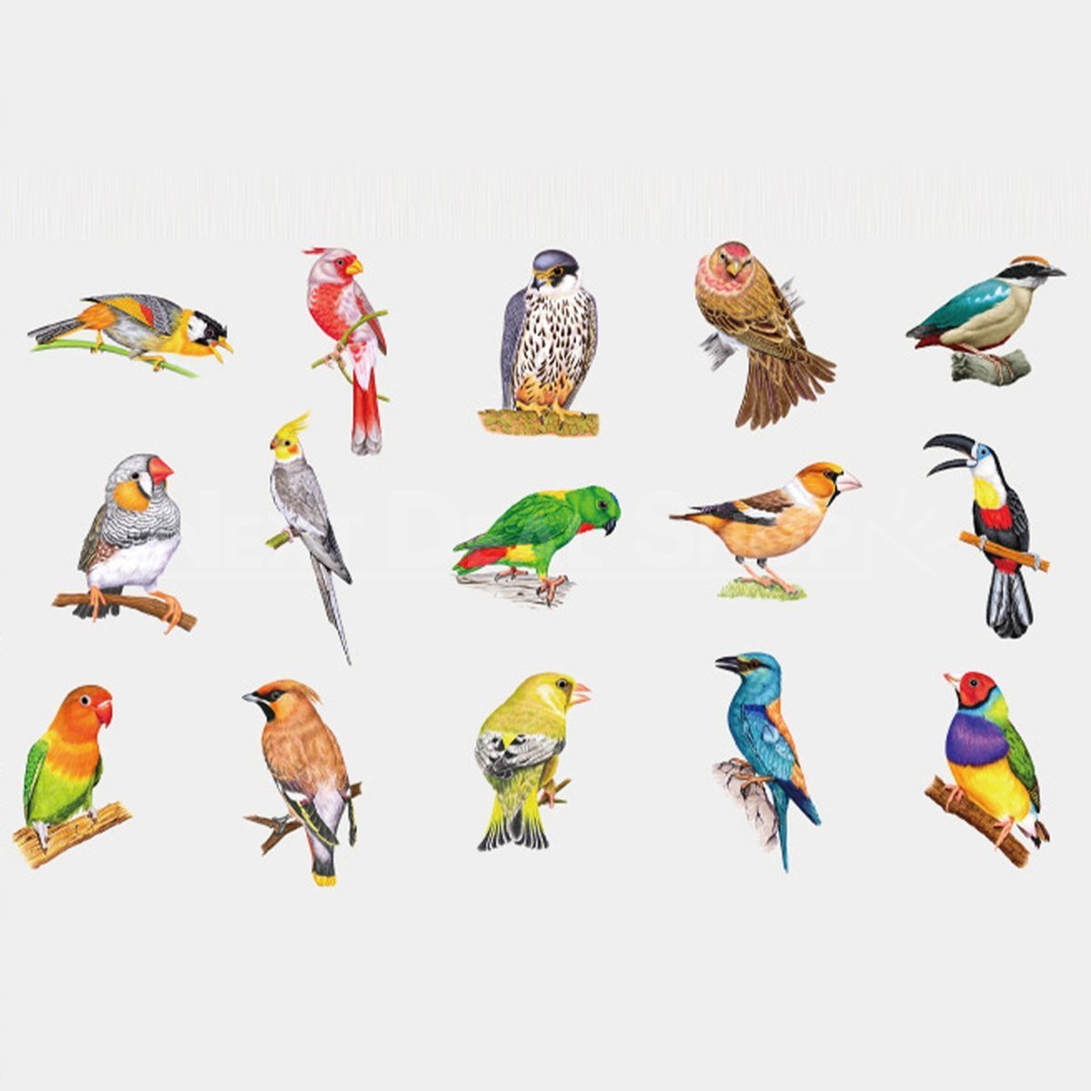 Transparent Bird and Butterfly Stickers-Next Deal Shop-Bird-Next Deal Shop