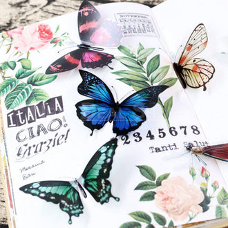 Transparent Bird and Butterfly Stickers